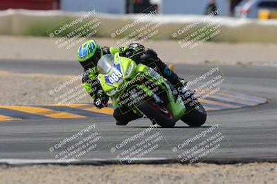 media/Mar-12-2023-SoCal Trackdays (Sun) [[d4c8249724]]/Turn 2 (1130am)/